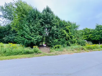 Lot 34 Cockburn Street, Kawartha Lakes, On K0m 2l0