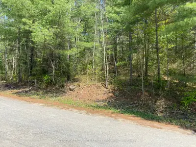 Boulter Lake Road, Hastings Highlands, On, K0l 2k0