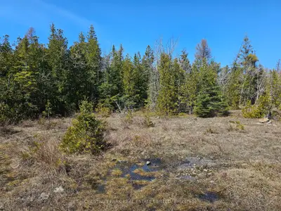 Lot 2 Spry Road, Northern Bruce Peninsula, On N0h 1w0