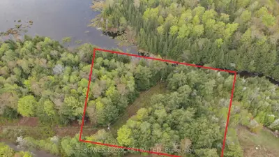 Lot 11 Surveyor Drive, Highlands East, On K0l 1a0