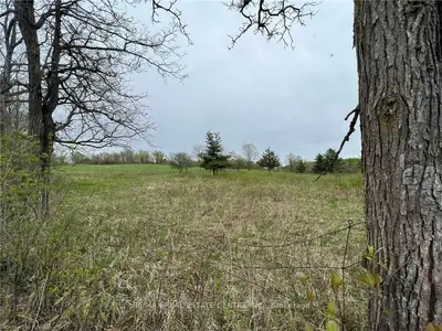 02 Mcandrew's Road, Rideau Lakes, On K0g 1x0