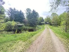 1228 Scotch Line Road, Minden Hills, On K0m 2k0