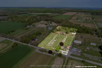 2965 County Road 8, Prince Edward County, On, K0k 2t0