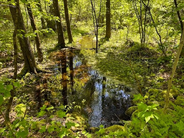 0 BESSIE Avenue N, Trent Lakes, ON K0M 1A0