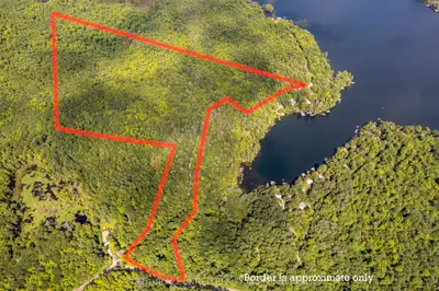Knox Point Road, North Kawartha, On, K0l 1a0