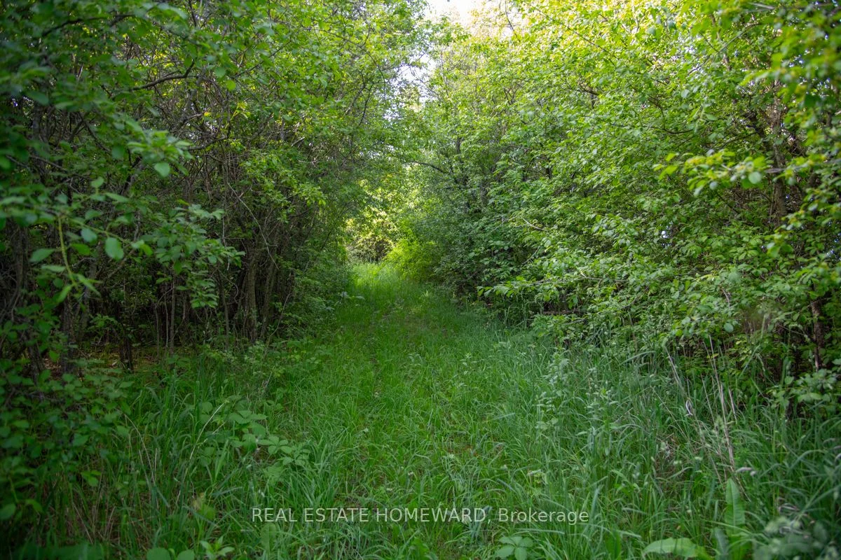 00 Swamp College Road, Prince Edward County, ON K0K 2J0