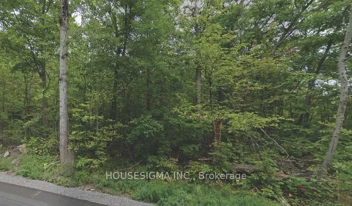 160 Marble Point Road, Marmora And Lake, On K0k 2m0