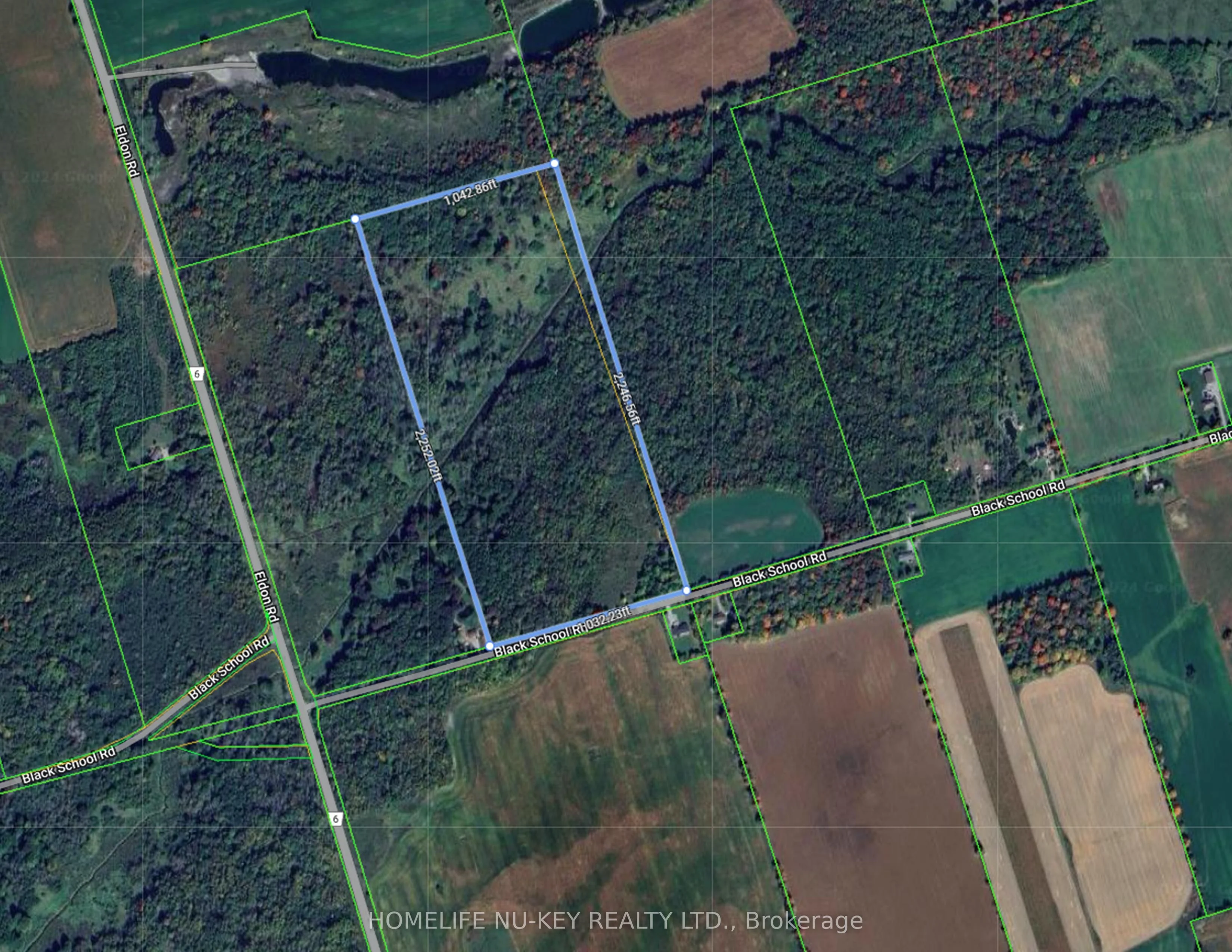 991 Black School Road, Kawartha Lakes, ON K0M 2T0