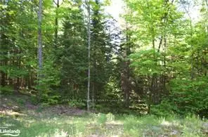 2823 Harburn Road, Dysart Et Al, On K0m 1s0