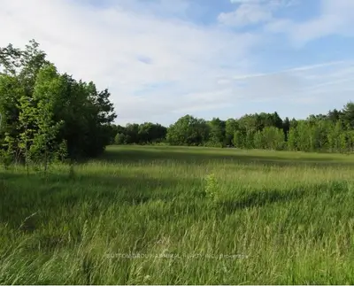 44 Captains Court, Meaford, On N4l 1w5