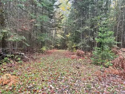 Vacant Land in Highlands East