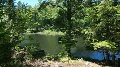 Vacant Land in Havelock-Belmont-Methuen