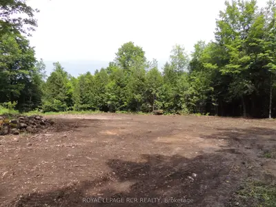 Vacant Land in Grey Highlands