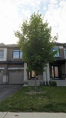 685 Putney Crescent, Stittsville - Munster - Richmond, ON K2S 1E7
