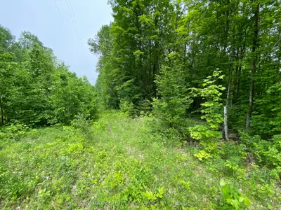 0 Musclow Greenview Road, Hastings Highlands, On K0l 1c0