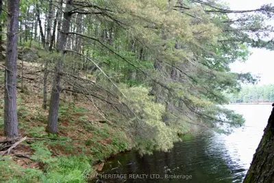 Vacant Land in Havelock-Belmont-Methuen