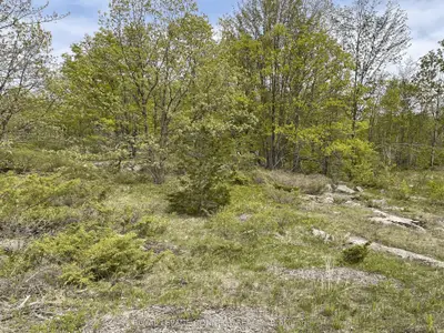 Vacant Land in Addington Highlands