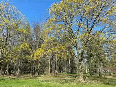 455 Lot 2 - William Street, Niagara-on-the-lake, On L0s 1j0