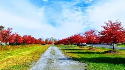 06101 Rose Hill Road, Fort Erie, On L2a 5m4