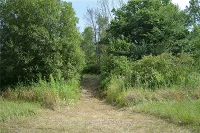 Pt Lt 21 Con 4 Forks Road, Welland, On L3k 5v5