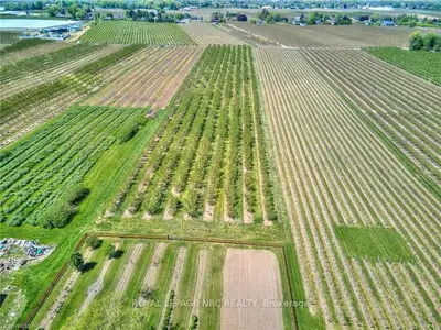 644 EAST WEST Line, Niagara-on-the-Lake, ON L0S 1J0