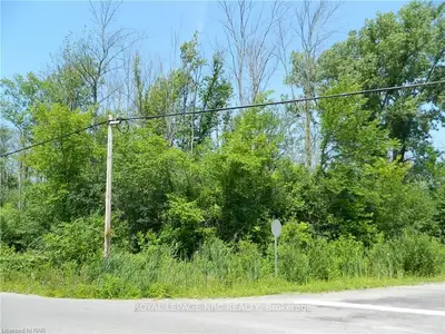 O Alfred Street, Fort Erie, On L2a 1l8