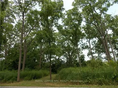 V/l W Ridge Road N, Fort Erie, On L0s 1n0
