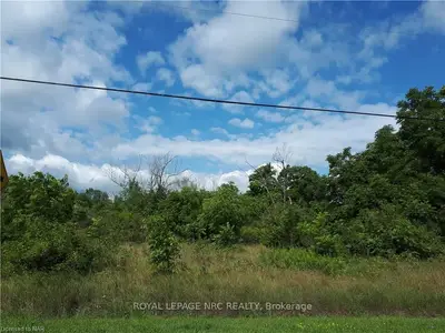 PT LTS 8 & 9 W/S RATHFON Road, Wainfleet, ON L3K 5V4