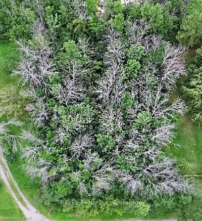 LOT 459 & LOT 460, 0 KENWOOD Street, Fort Erie, ON L2A 5M4