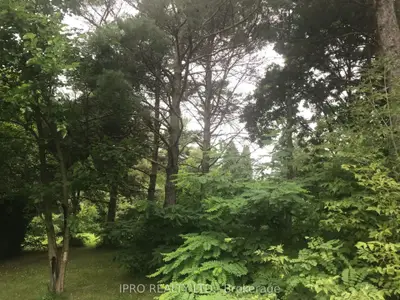 Vacant Land in Trent Hills