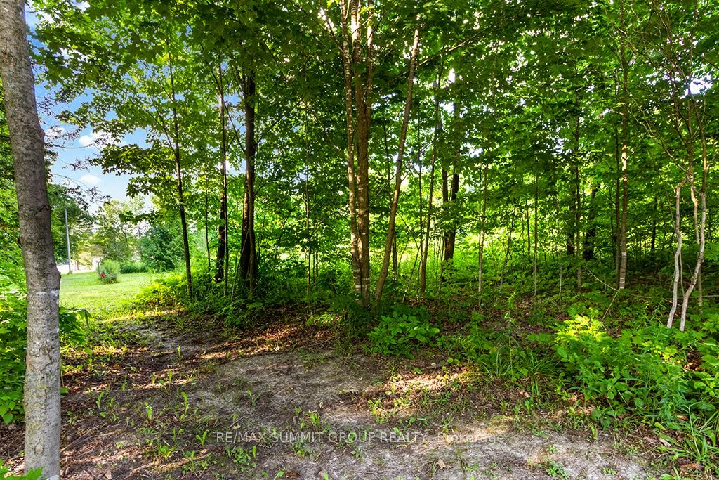 185 Raglan Street, Grey Highlands, On N0c 1e0