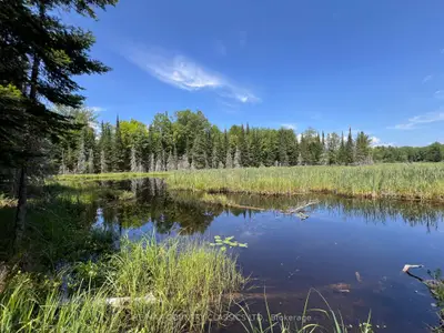 0 Conc Whr, Hastings Highlands, On, K0l 1c0