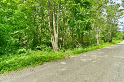 Vacant Land in Cramahe