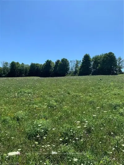 166 Cowdy Road, Stone Mills, On K0k 1z0