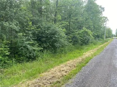 Near 197 Wartman Road, Stone Mills, On K0k 2s0
