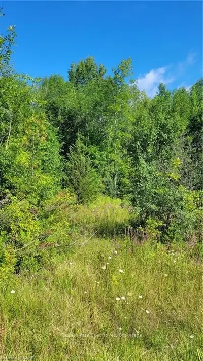 00 DAYTOWN Road, Rideau Lakes, ON K0E 1G0