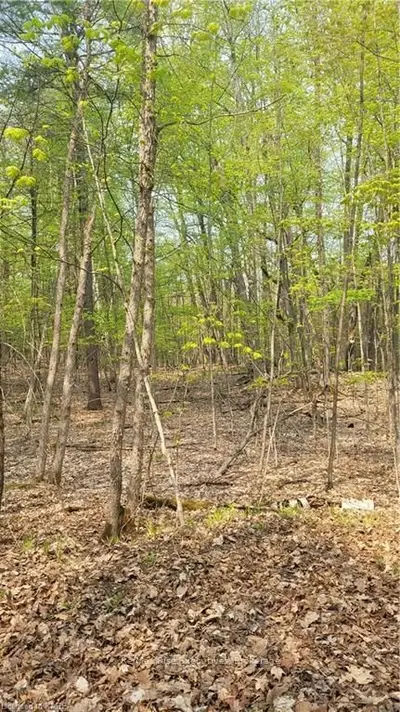 Part 1 Ritz Road, Rideau Lakes, ON K0G 1E0
