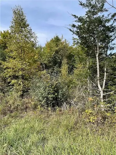 0 Mother Barnes Parts 1, 2 & 3 Road, Elizabethtown-kitley, On K0e 1b0