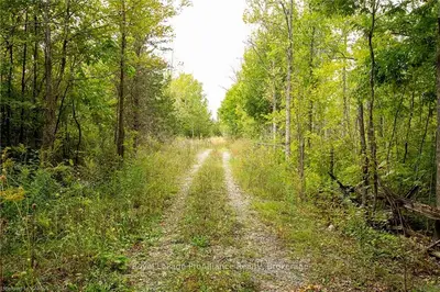 0 Roblin Road, Greater Napanee, On K0k 2w0