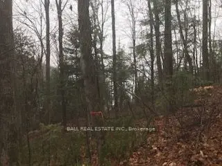 Vacant Land in Dysart et al
