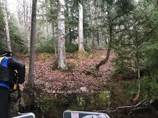 00 Elephant Lake, Dysart Et Al, On, K0l 1m0