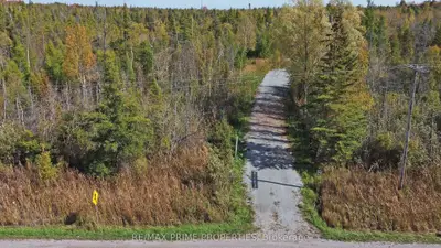 Vacant Land in Kawartha Lakes