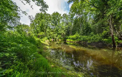 Vacant Land in North Kawartha