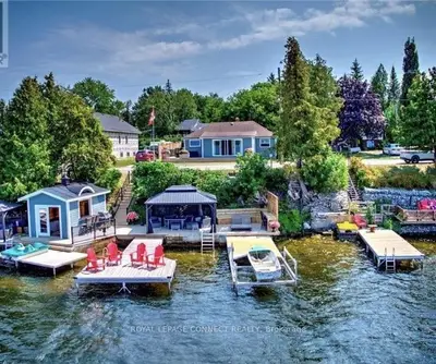 157 Hazel Street, Kawartha Lakes, On K0m 1l0