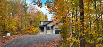 Detached in Lake of Bays