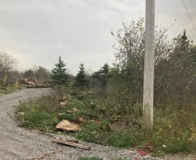 00 MORRISON Road, Elizabethtown-Kitley, ON K0E 1H0