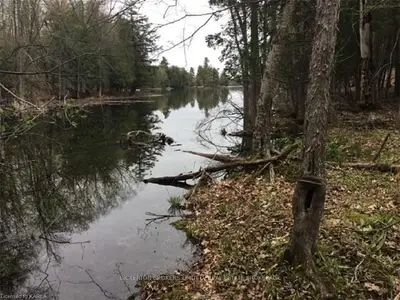 783 NARROWS LOCK Road, Rideau Lakes, ON K0G 1N0