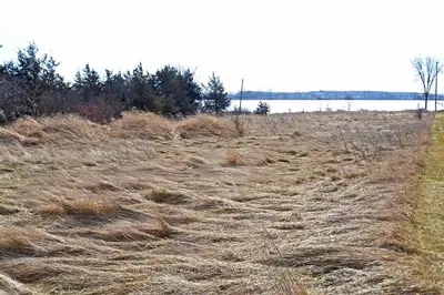 Near 248 Shermans Point Road, Greater Napanee, On K7r 3k8