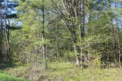 0 Troy Lake Road, Rideau Lakes, ON K0G 1E0