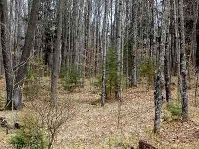 3114 County Road 3, Leeds And The Thousand Islands, On, K0e 1l0